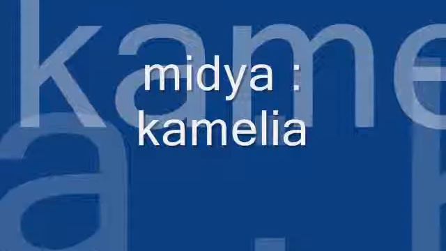 kamelia midya смотреть онлайн