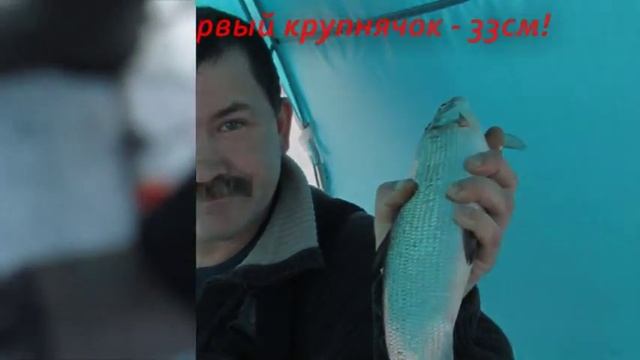 Сиговое счастье на Имандре смотреть онлайн