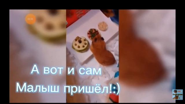 Моему каналу ровно год!❤️❤️❤️?????31 МАЯ 2020 ГОД? Спасибо вам за всё??????❣️❣️????????♥️???? смотреть онлайн