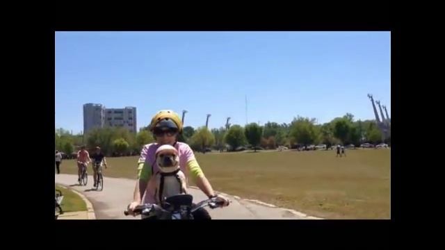 ASIENTO DE BICI PARA LLEVAR EL PERRO смотреть онлайн