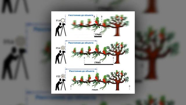 Налаштування фотоапарата. Діафрагма.