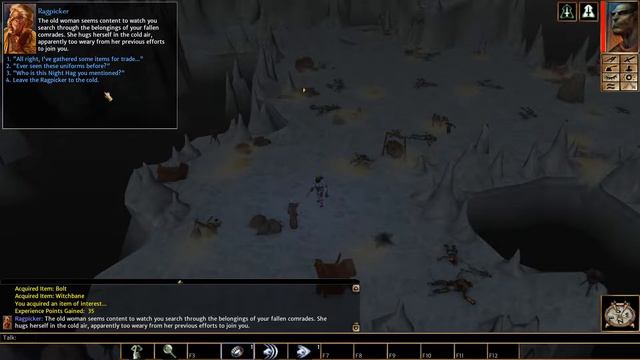 Neverwinter Nights Enhanced Edition Witch's Wake Part 1 смотреть онлайн