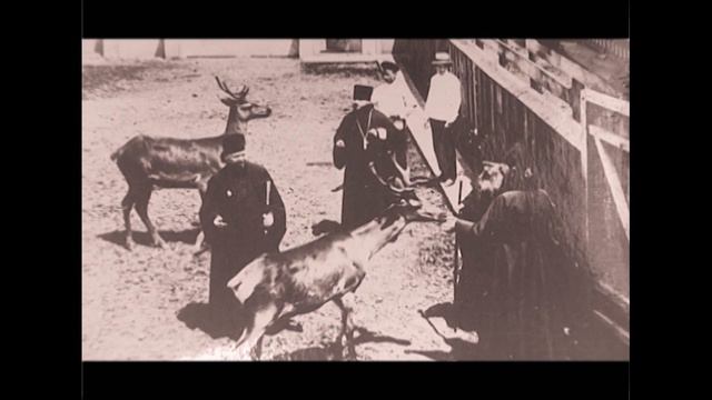 Приморье with love Шмаковка смотреть онлайн