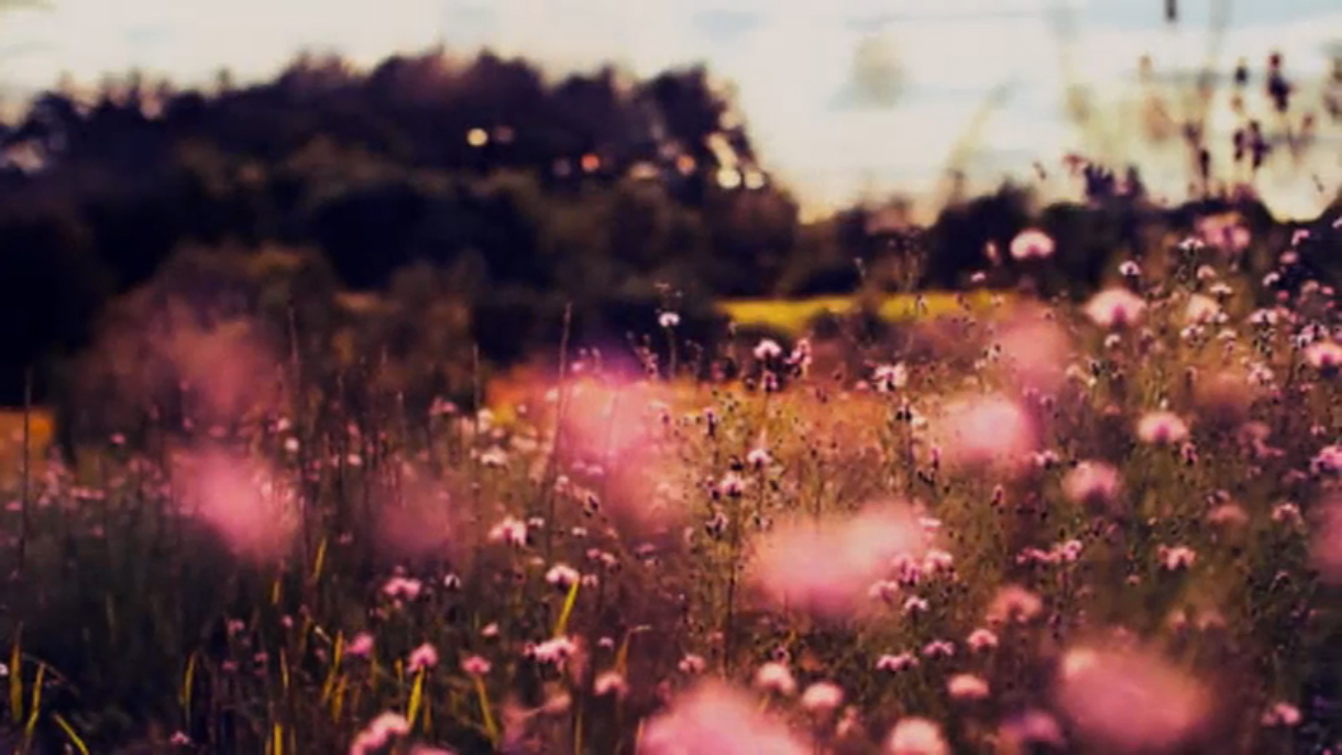 Where did the love go_ - The Seihos & Vera gottschall Tender Stories No. 1 (1080p) смотреть онлайн