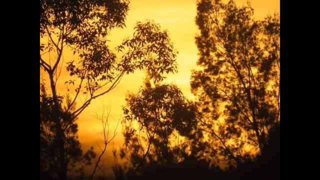 Baguio City Sunset & Sunrise Image смотреть онлайн