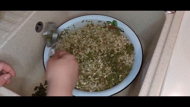 ПРОРАЩИВАЕМ МАШ ДОМА/КОРЕЙСКАЯ КУХНЯ/ НОКТЫ смотреть онлайн