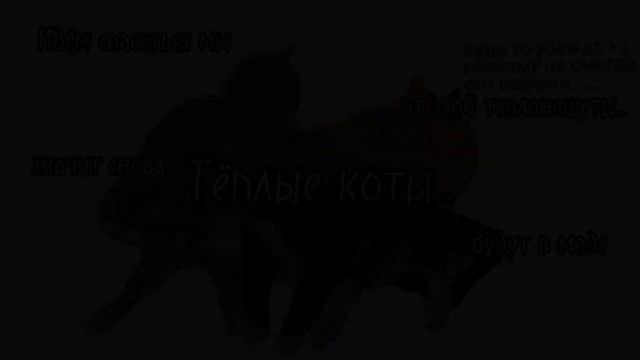 Мой мини клип на песню "Тёплые коты" 💗✨ смотреть онлайн