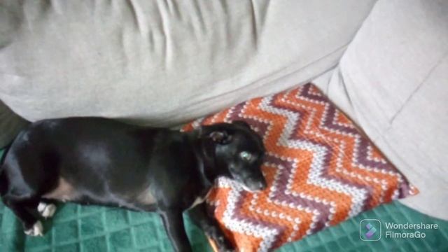 печем блины. Докрашиваем мебель. Что то пошло не так. смотреть онлайн