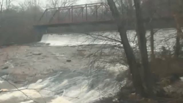 Ученые назвали лечебные свойства картофеля