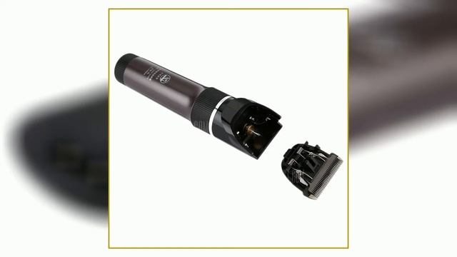 BaoRun P6 Professional Rechargeable Pet Electric Hair Clipper смотреть онлайн