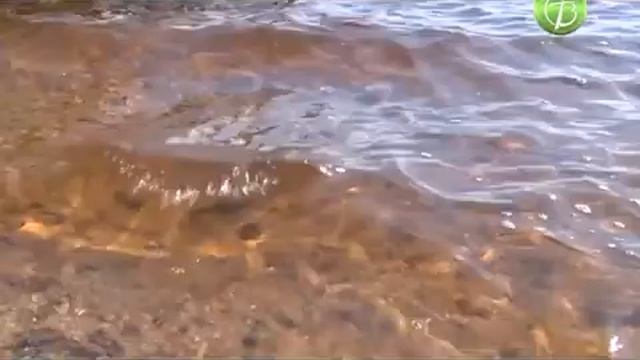 Спасатели напоминают об опасности купания в необорудованных местах смотреть онлайн