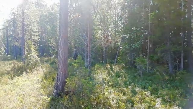 Архангельская МОРОШКА. смотреть онлайн