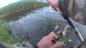 Ловля леща и карася на соску. Эксперименты с прикормом. Соска бьёт рекорды.