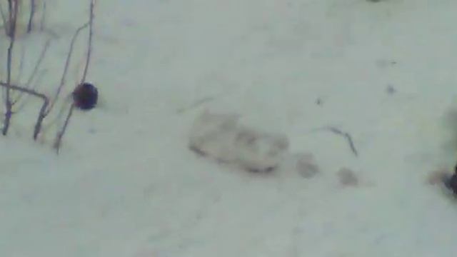 ты куда меня ведешь.mp4 смотреть онлайн