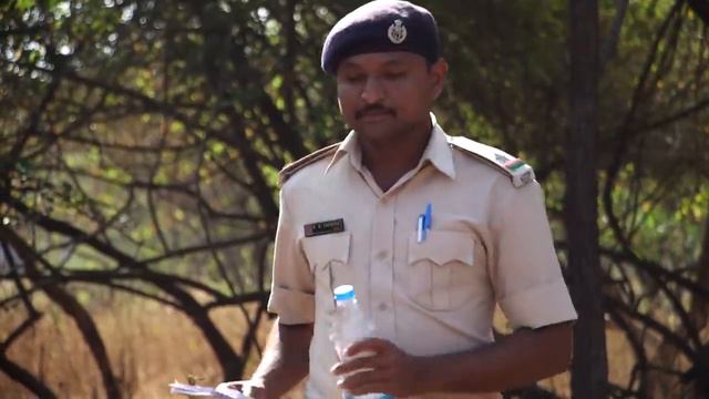 What inspired Land of the Lions? смотреть онлайн