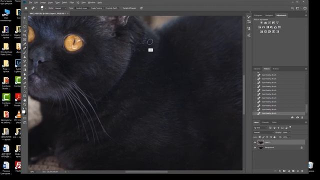 Полная ретушь кота от RAW до цветокоррекции. смотреть онлайн