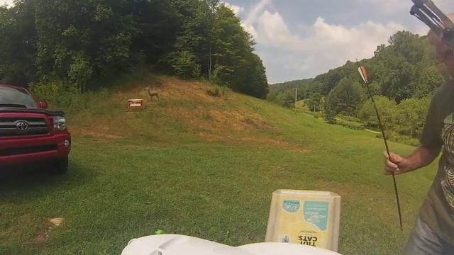 NEW 3D deer target 1st arrow смотреть онлайн