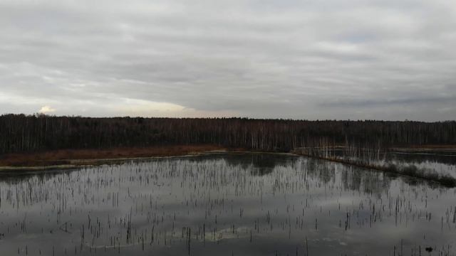 Оторвали кардан на Стелс Гепард. Застряли на рельсах.Квадропробег Фрязино -Киржач и обратно 200+км. смотреть онлайн