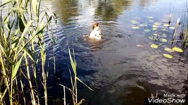 Мы на даче.. Купаемся смотреть онлайн