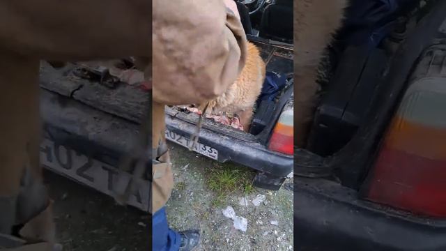 Старость не спрашивает когда ей придти. смотреть онлайн