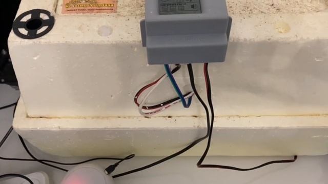 758❤️Готовим домики для новых жильцов. смотреть онлайн