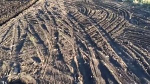 Лазурит СП от сорняков, результат за 2 года.