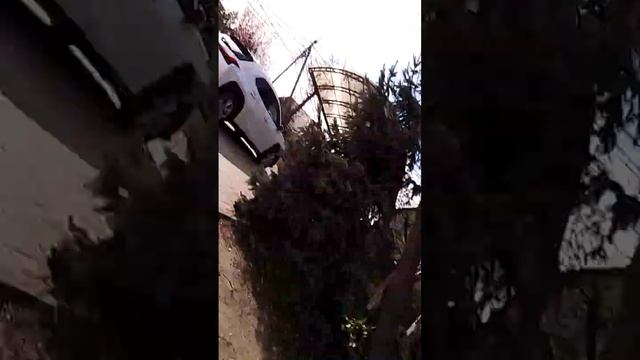 дорога на рисование смотреть онлайн