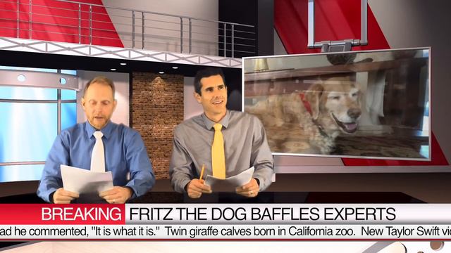 Fritz makes the news, but not for what you'd expect! смотреть онлайн