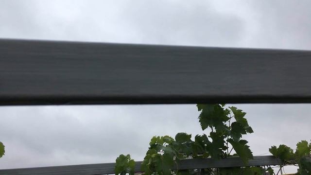 Шпалера для винограда своими руками из стального профиля смотреть онлайн