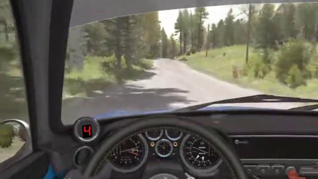 Dirt Rally от 1-го лица