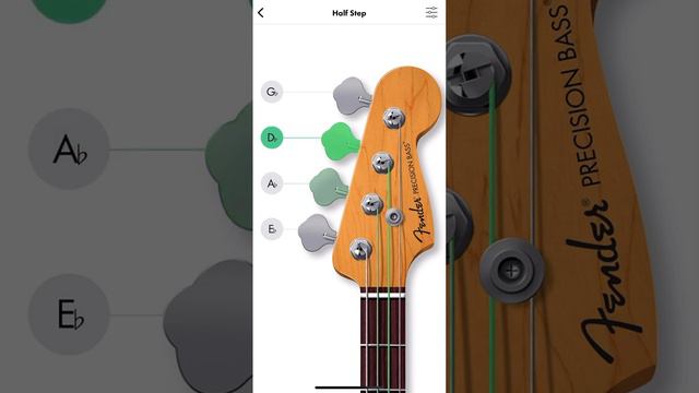 bass tuning Eb standard half step down смотреть онлайн