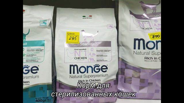 Знакомство с Monge смотреть онлайн