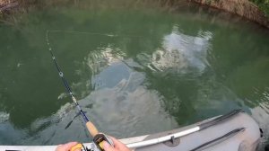 Рыбалка река Чарыш