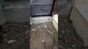 Подъём бытовки и выравнивание по уровню.