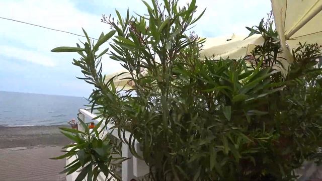 Крым. Солнечногорское. Отдых у моря. Жильё.Открыли сезон. смотреть онлайн