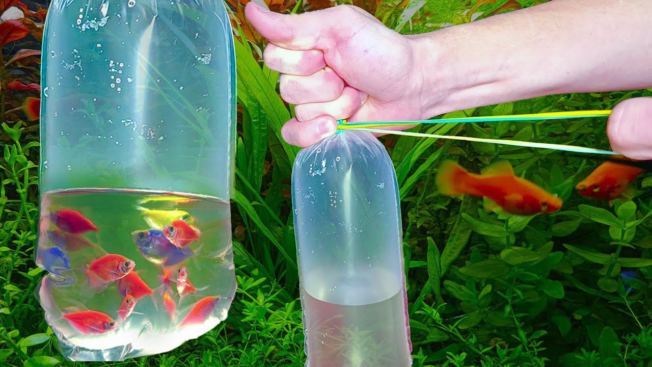 Как завязать пакет для траспортировки рыбок смотреть онлайн