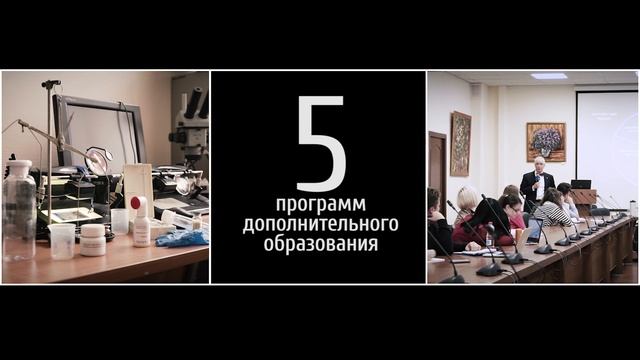 Факультет права НИУ ВШЭ | ЦИФРЫ смотреть онлайн