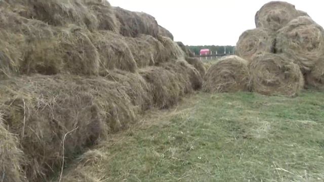 Можно ли вести в деревне бизнес. Есть участки на продажу? Деревня сверху. смотреть онлайн
