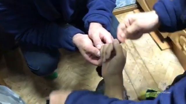 Нитка и масло понадобились, чтобы избавить камчатского подростка от «украшения» смотреть онлайн