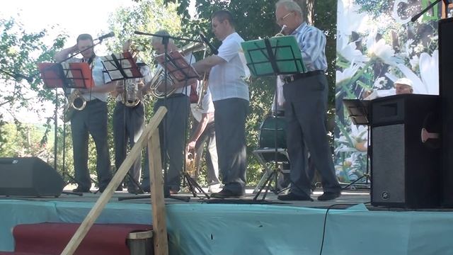 Оркестр из Красновишерска в селе Покча на Дне села смотреть онлайн