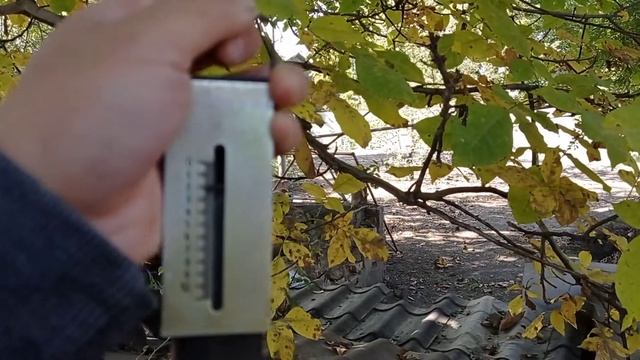 вес крольчат в 2 месяца,помесь ризена с французским бараном смотреть онлайн