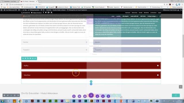 Divi Modul - Akkordeon смотреть онлайн