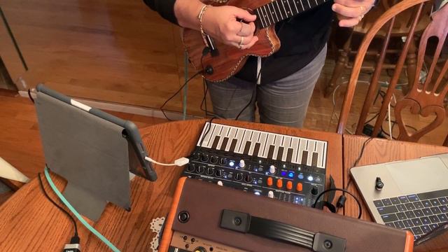 Mellow Improv on Arturia Microfreak, Deviser Tenor Ukulele with a Myers Pickup: "And the Snow Fell смотреть онлайн