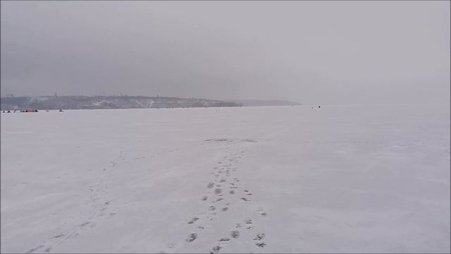Прикормка рыбы, Воронежское водохранилище, 03.02.2023 , день третий смотреть онлайн