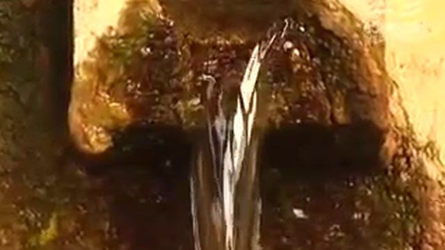 Коралловая воды корал майн смотреть онлайн