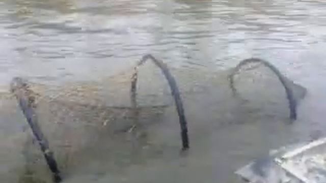 рыбалка на раскатах смотреть онлайн