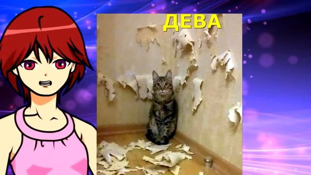 Какая ты кошка. Какой ты котик по знаку зодиака смотреть онлайн