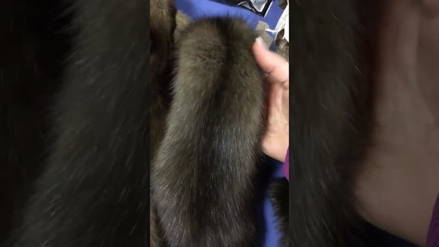 Мех баргузинского соболя - шкурки соболя - шубные наборы #08 смотреть онлайн