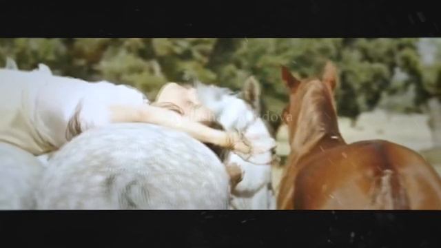 |Кто я? Что я? Только лишь мечтатель...| смотреть онлайн