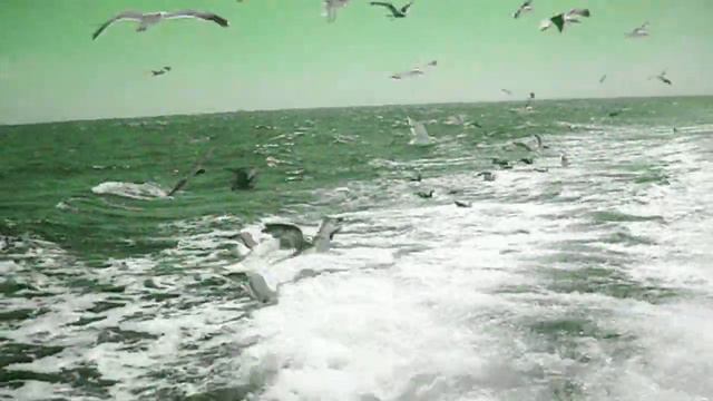 Crystal Blue Persuasion